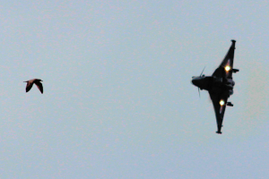 A_Typhoon_07