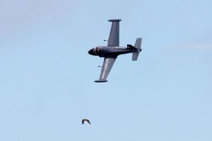 Strikemaster_03