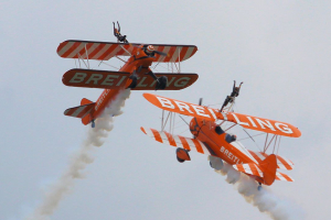 wingwalk_02