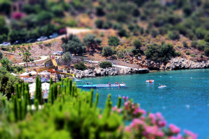4 IMG_4628-tiltshift