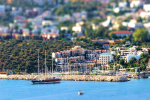 9c IMG_3333-tiltshift