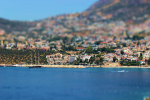 9f IMG_4639-tiltshift